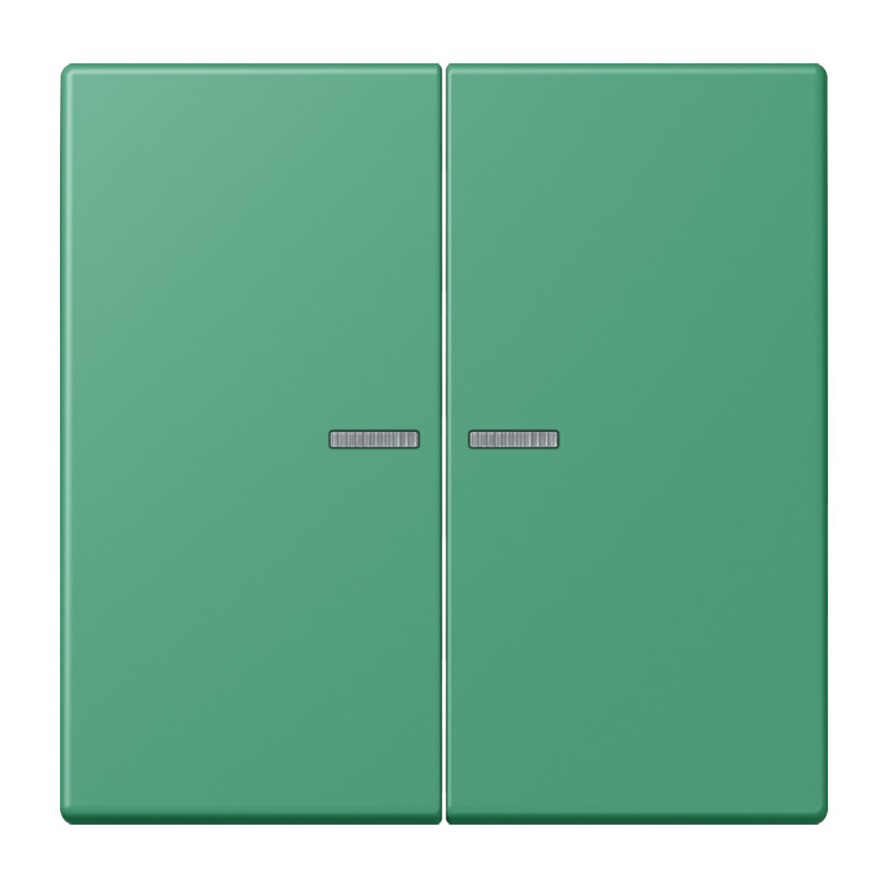 Jung LS range Home Stuurafdekking 2-V LC4320G