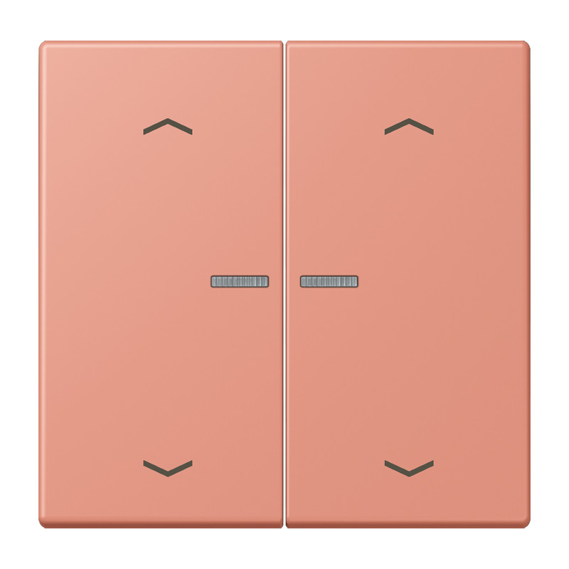 Jung LS range Home Stuurafdekking 2-V pijl LC32111