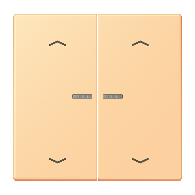 Jung LS range Home Stuurafdekking 2-V pijl LC4320P