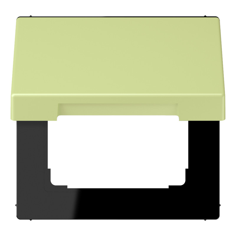 Jung LS range Klapd. SL.vast TBV inzet 50x50 LC32053