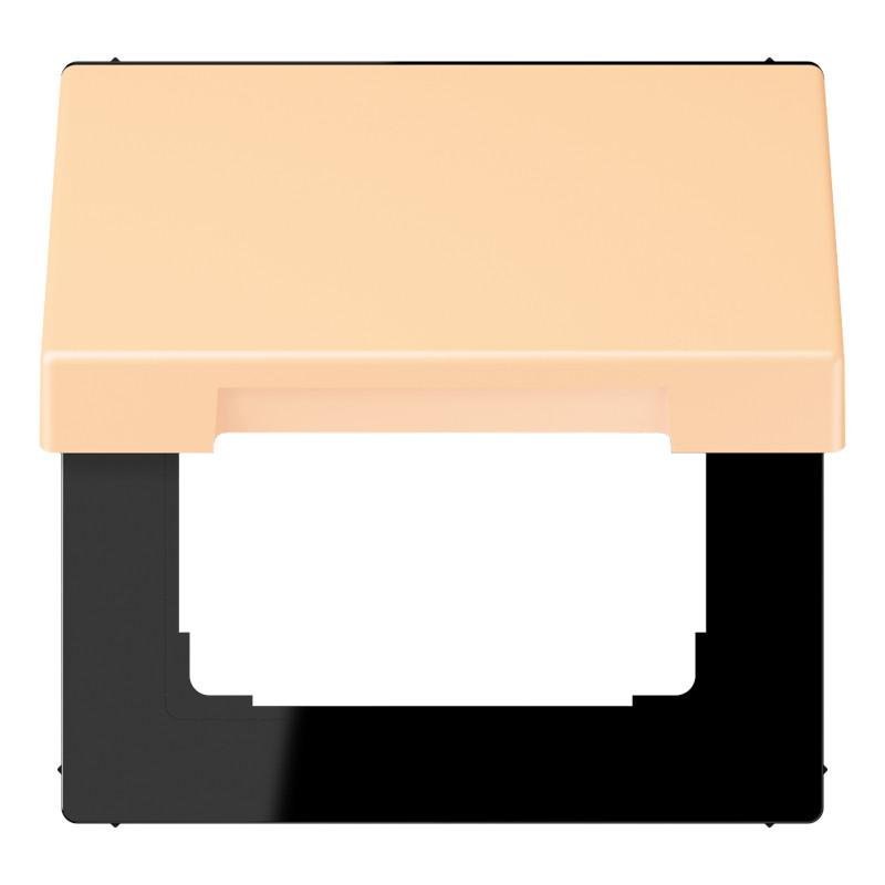 Jung LS range Klapd. SL.vast TBV inzet 50x50 LC32060