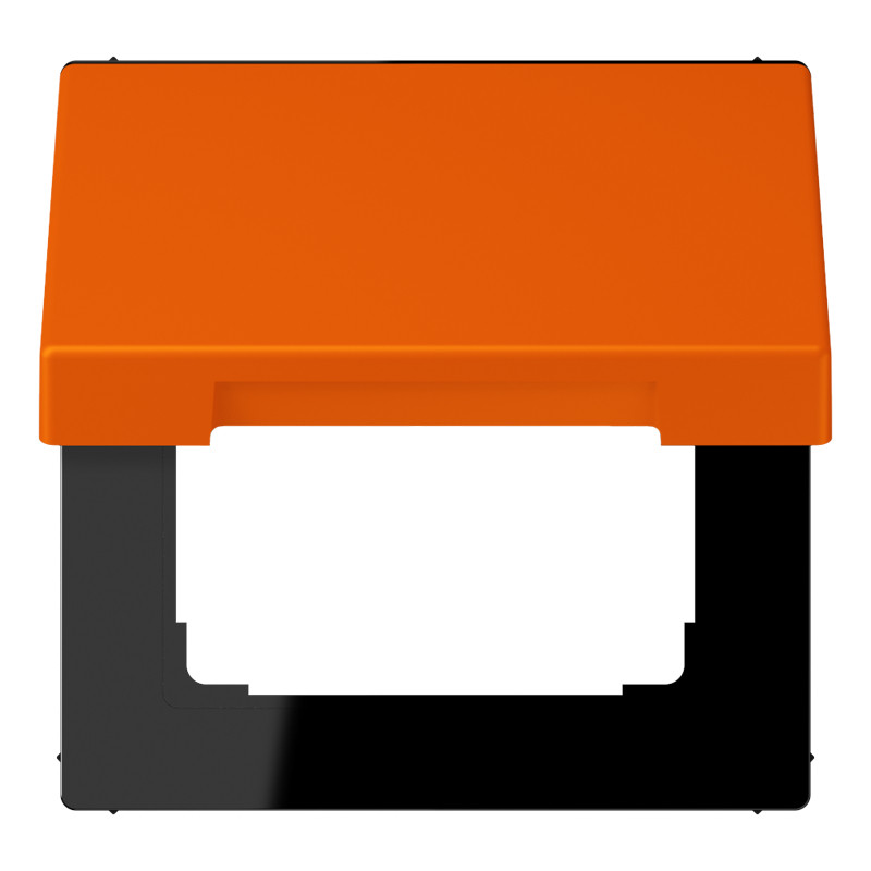 Jung LS range Klapd. SL.vast TBV inzet 50x50 LC32080