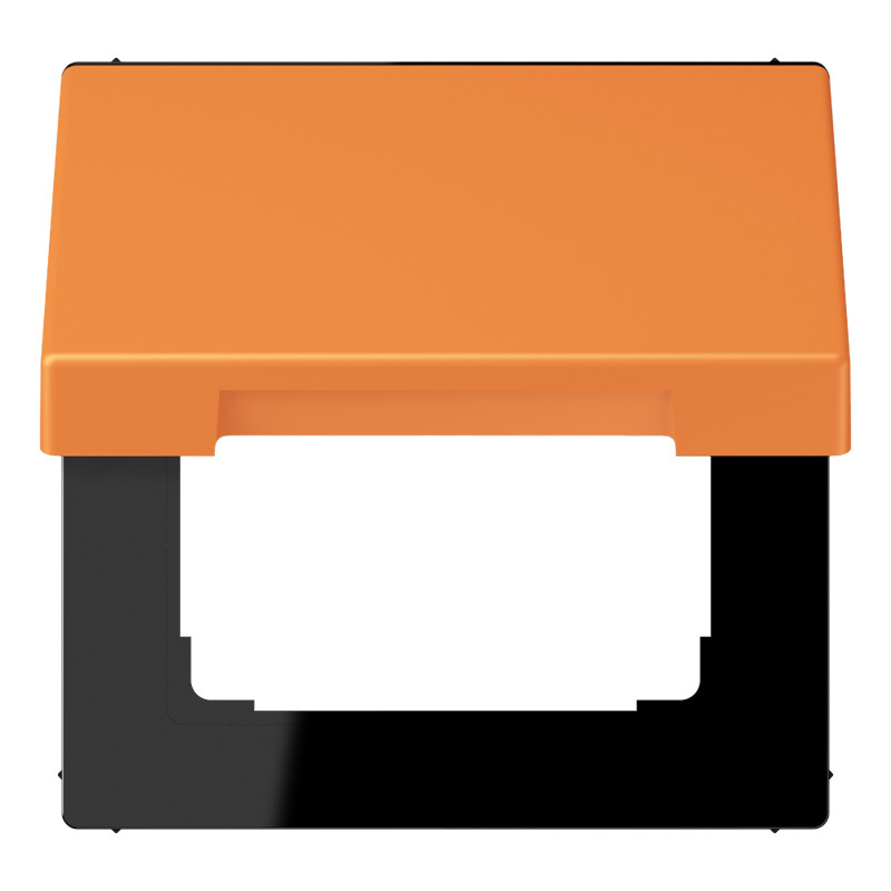 Jung LS range Klapd. SL.vast TBV inzet 50x50 LC32081