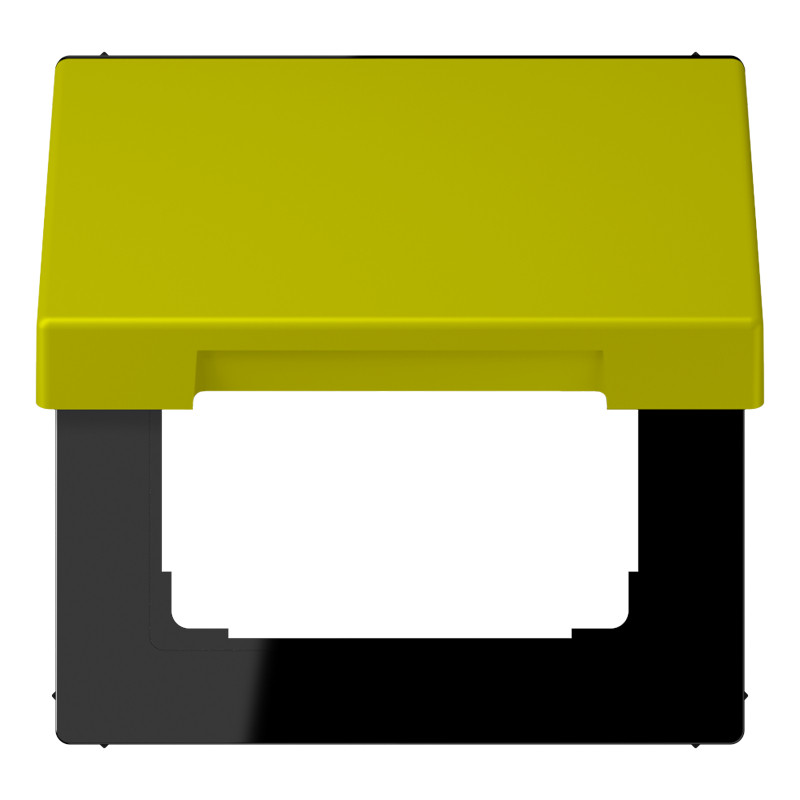 Jung LS range Klapd. SL.vast TBV inzet 50x50 LC4320F