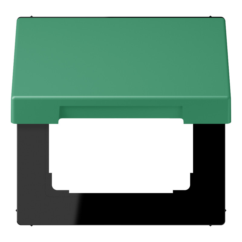 Jung LS range Klapd. SL.vast TBV inzet 50x50 LC4320G