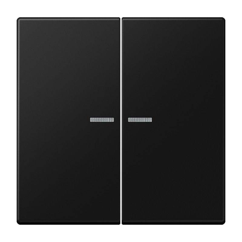 Jung LS range KNX RF-tastafd. 2V. LS990 graf.zwart