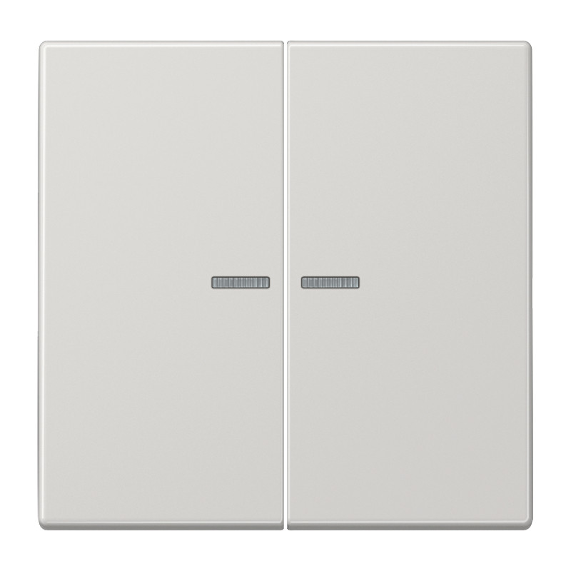 Jung LS range KNX RF-tastafd. 2V. LS990 lichtgrijs