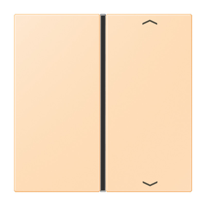 Jung LS range KNX Tastafd. F40 1-V. compl.pijl LC32060