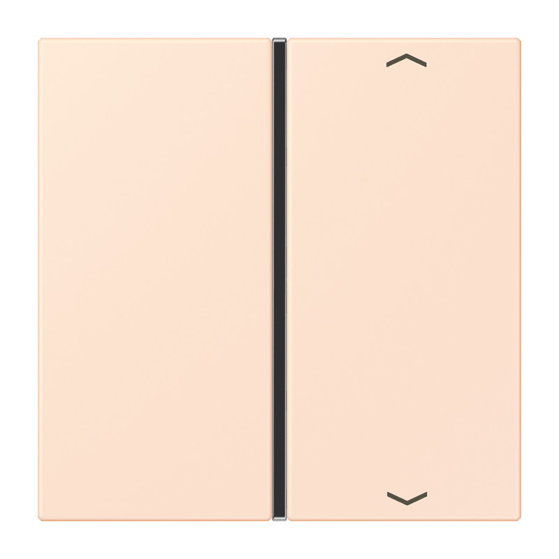 Jung LS range KNX Tastafd. F40 1-V. compl.pijl LC32082