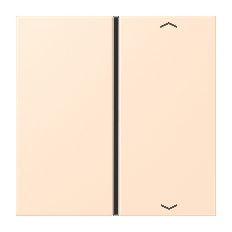 Jung LS range KNX Tastafd. F40 1-V. compl.pijl LC32123