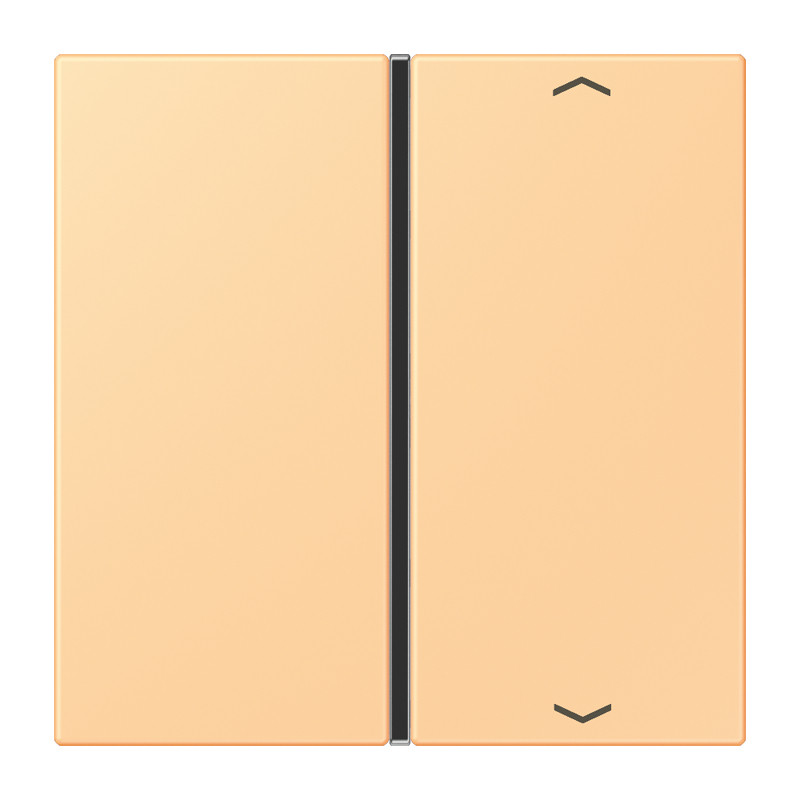 Jung LS range KNX Tastafd. F40 1-V. compl.pijl LC4320P