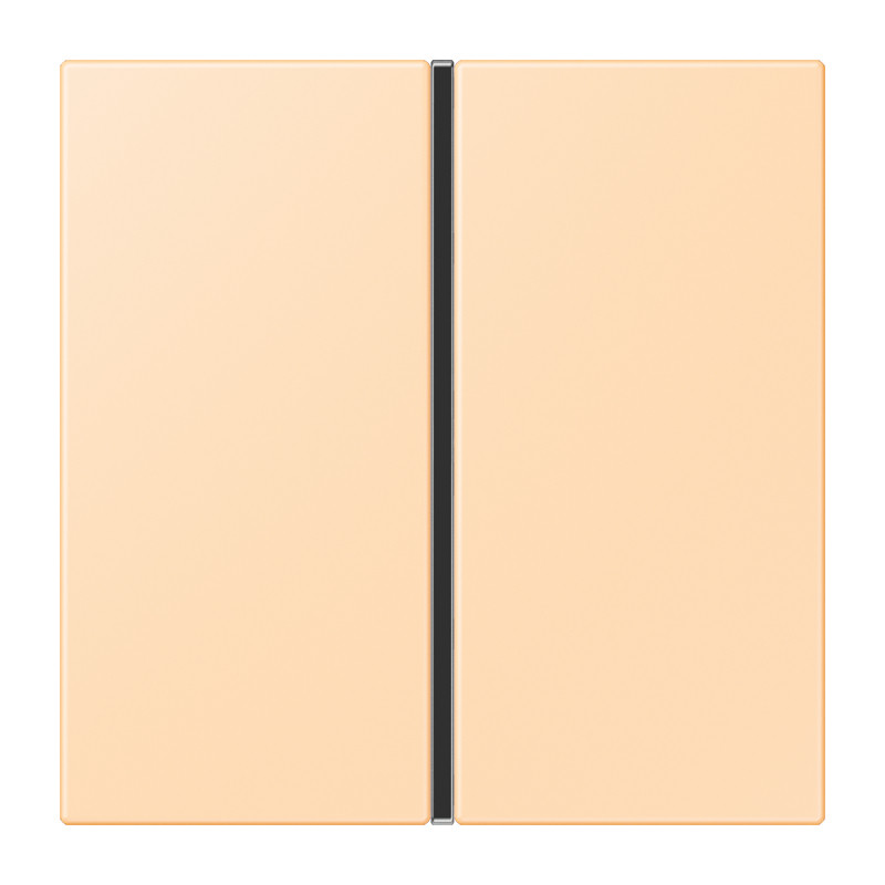 Jung LS range KNX Tastafd. F40 1-V. compleet LC32060