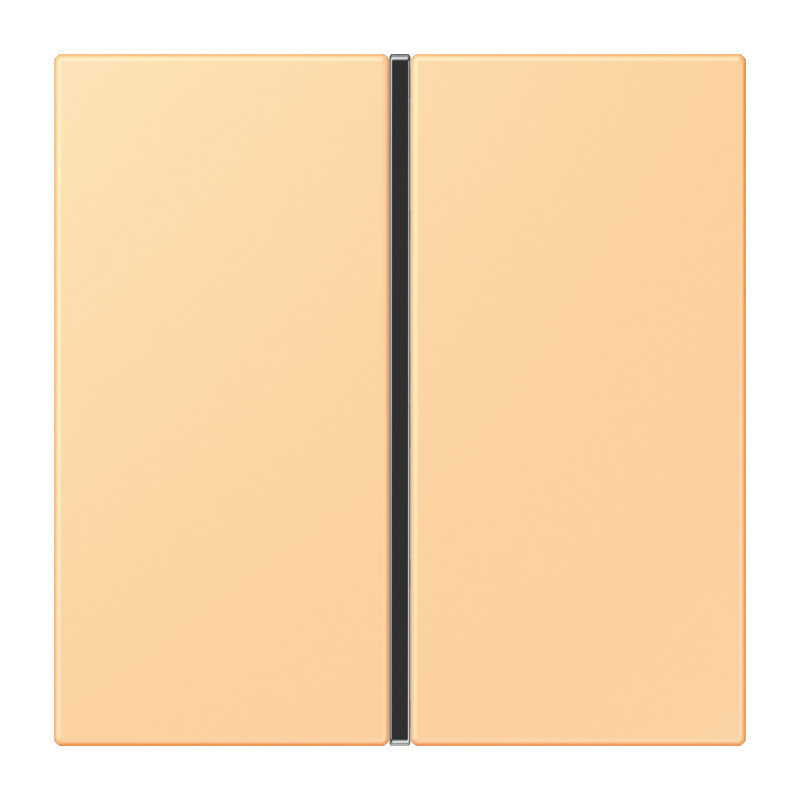 Jung LS range KNX Tastafd. F40 1-V. compleet LC4320P