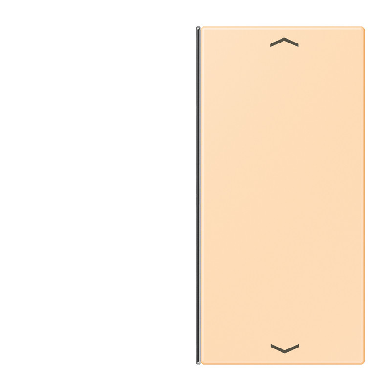 Jung LS range KNX Vervangingswip F40 2-V. pijl LC32060