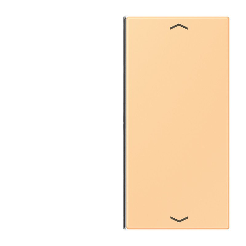 Jung LS range KNX Vervangingswip F40 2-V. pijl LC4320P