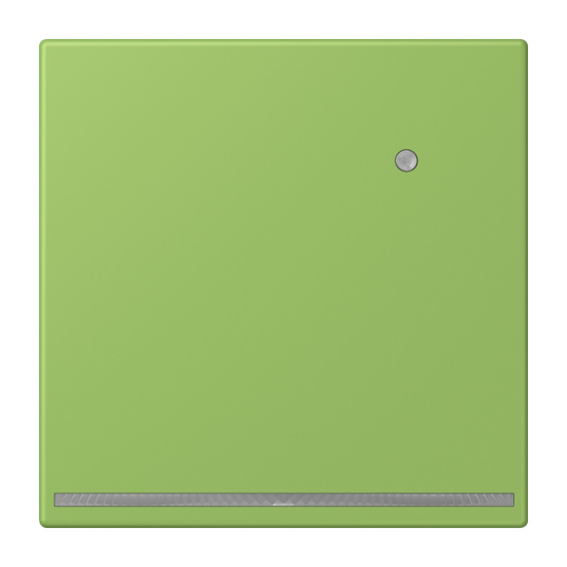 Jung LS range Led-Orientatieverl. & L.sensor LC32051