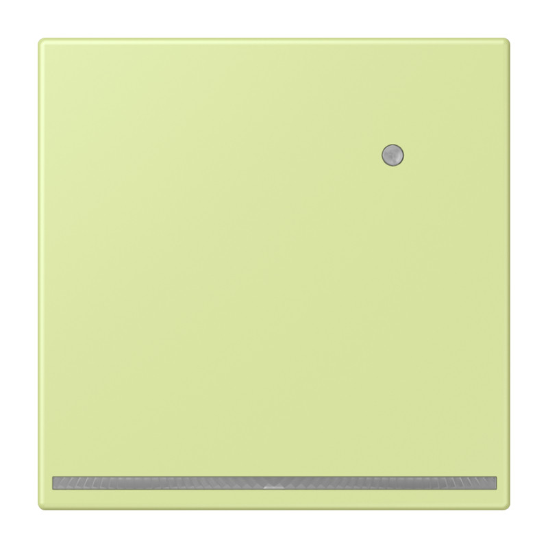 Jung LS range Led-Orientatieverl. & L.sensor LC32053