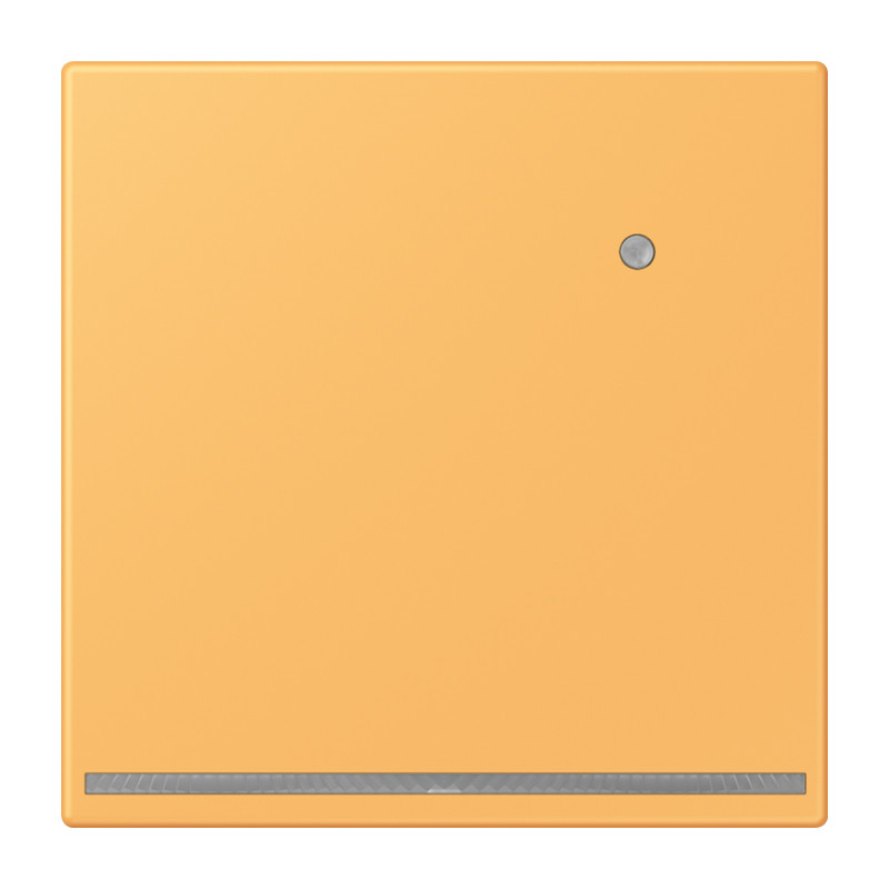 Jung LS range Led-Orientatieverl. & L.sensor LC4320L