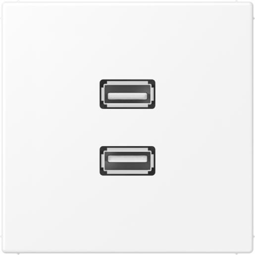 Jung Multimedia-aansluitingen 2xusb 2.0 LS range sneeuwwit mat