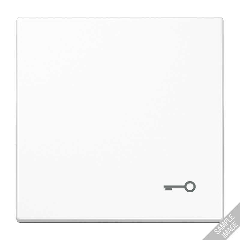 Jung LS range Schakelwip LS990 li.GR.M. SYMB. sleutel