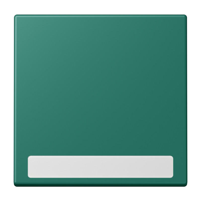 Jung LS range Schakelwip Met tekstvenster LC32040