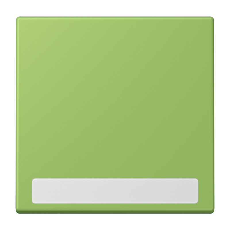 Jung LS range Schakelwip Met tekstvenster LC32051