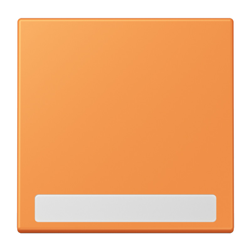 Jung LS range Schakelwip Met tekstvenster LC32081