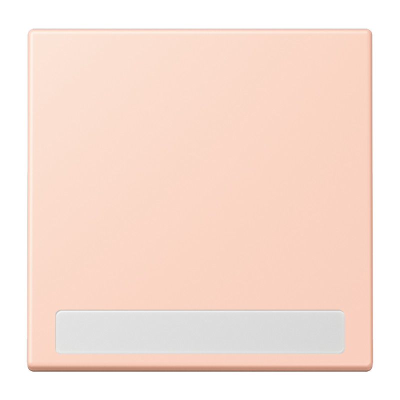 Jung LS range Schakelwip Met tekstvenster LC32112