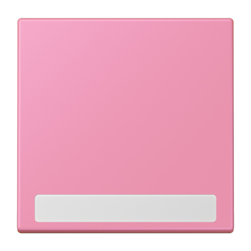 Jung LS range Schakelwip Met tekstvenster LC4320C