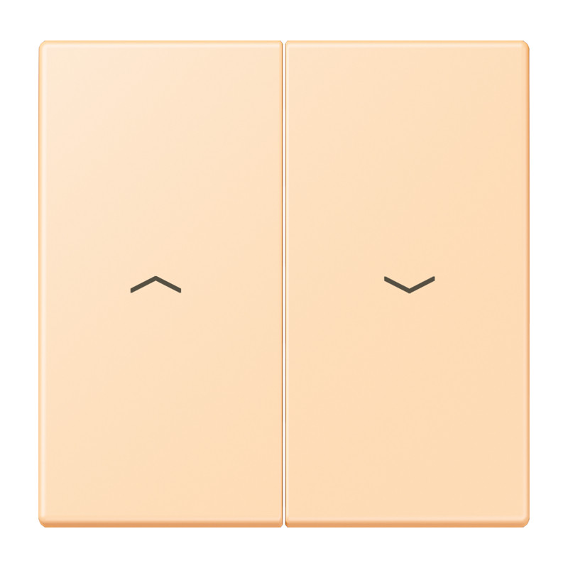 Jung LS range Schakelwip Met pijlsymbolen LC32060