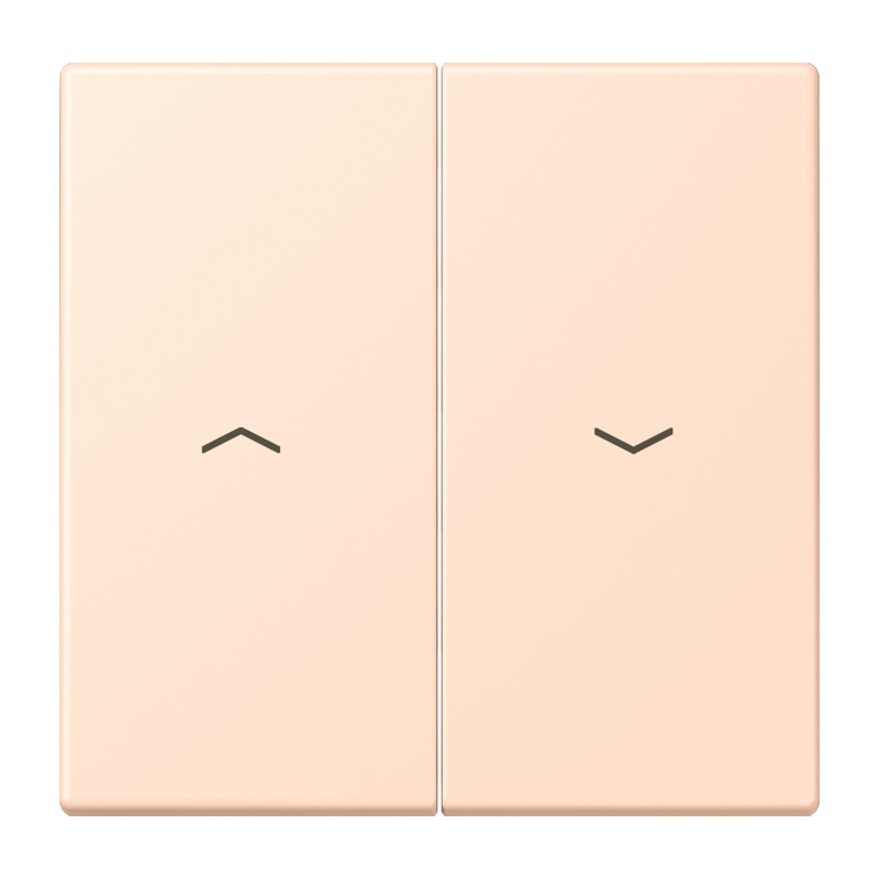 Jung LS range Schakelwip Met pijlsymbolen LC32091