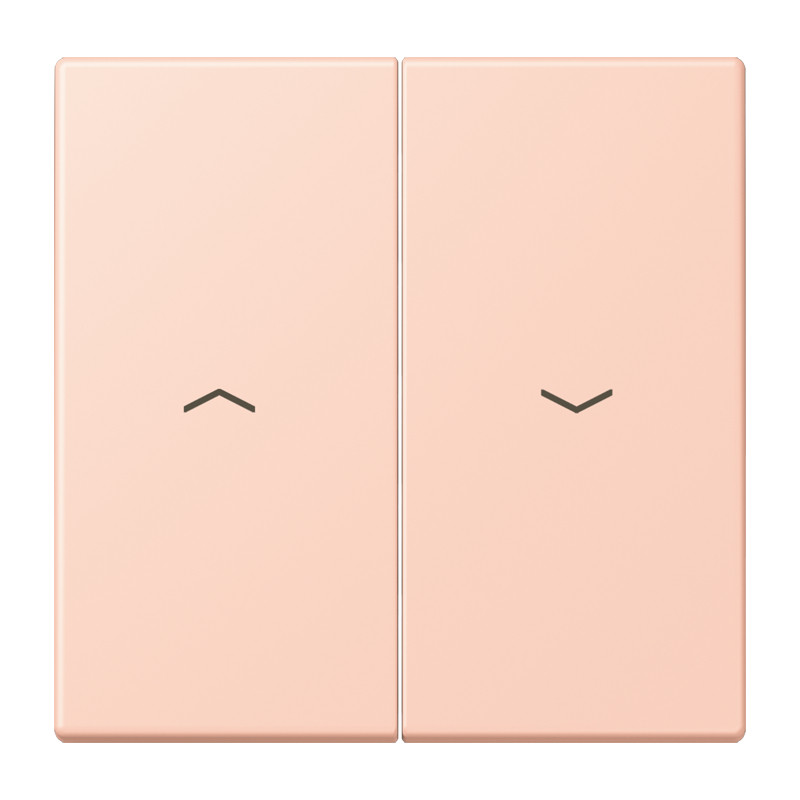 Jung LS range Schakelwip Met pijlsymbolen LC32112