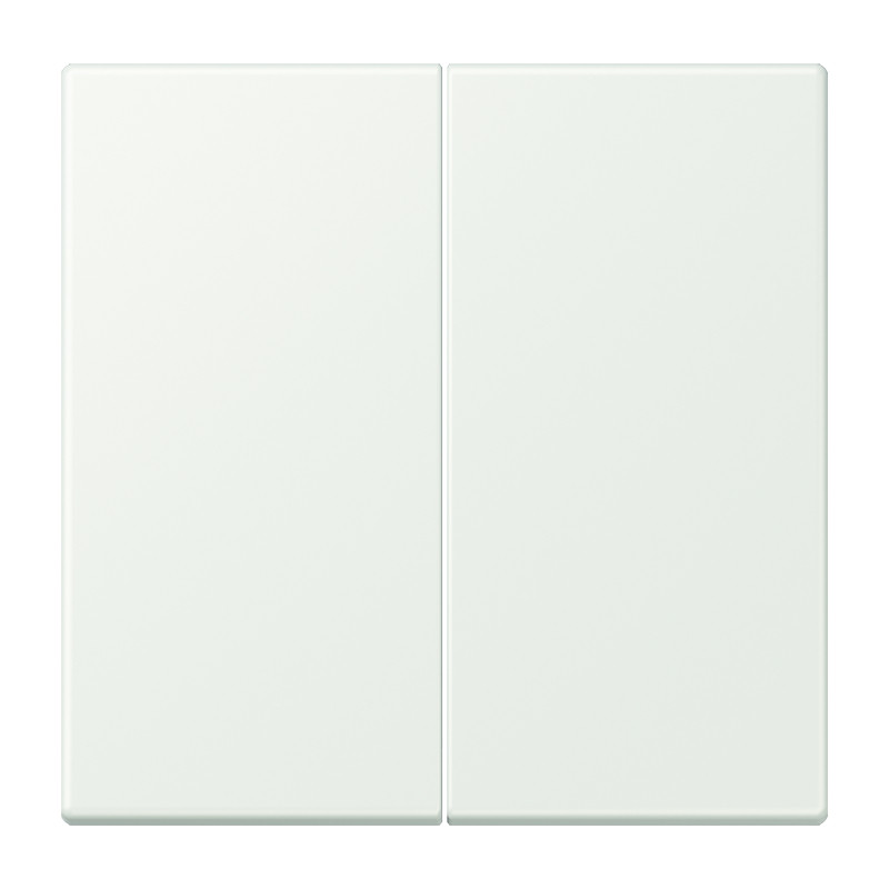 Jung LS range LB Taster 2V LC32024/210