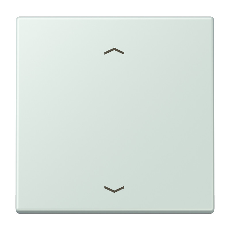 Jung LS range LB Taster 1V standaard LC32034/215 pijl