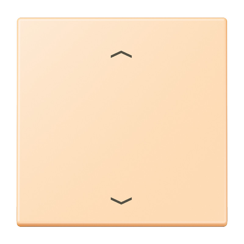 Jung LS range LB Taster 1V standaard LC32060/223 pijl