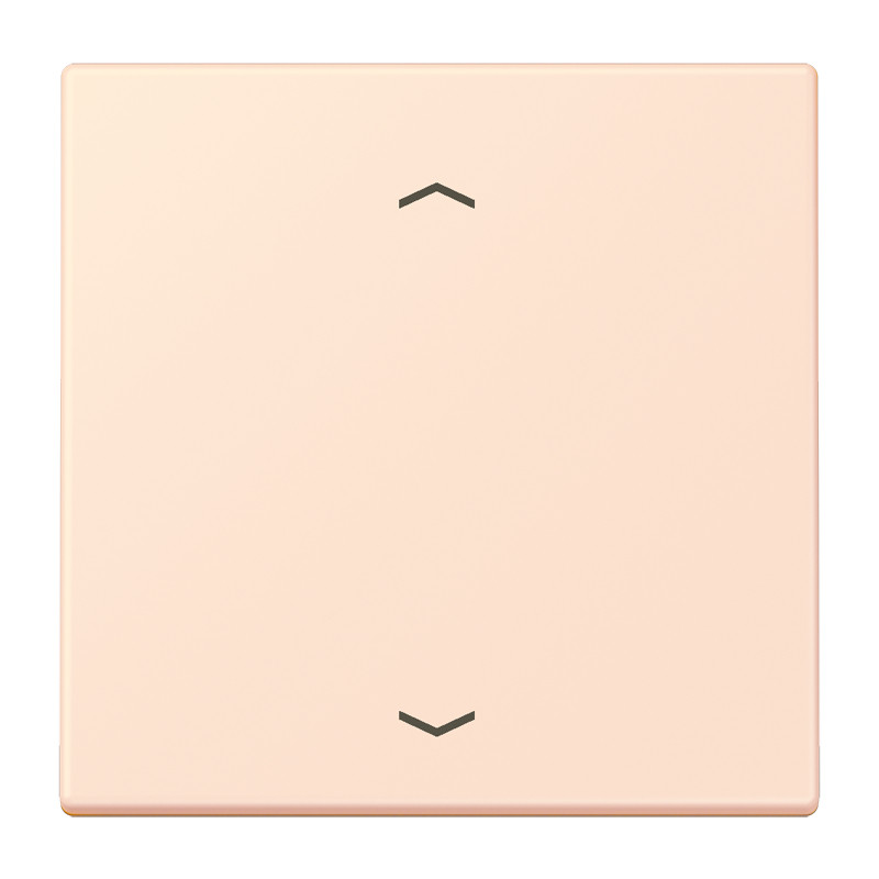 Jung LS range LB Taster 1V standaard LC32082/226 pijl