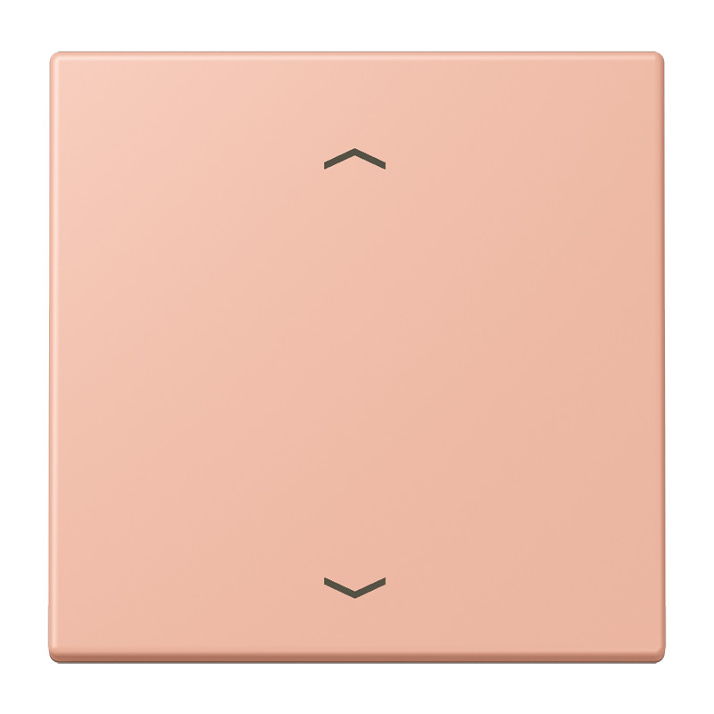 Jung LS range LB Taster 1V standaard LC32102/231 pijl