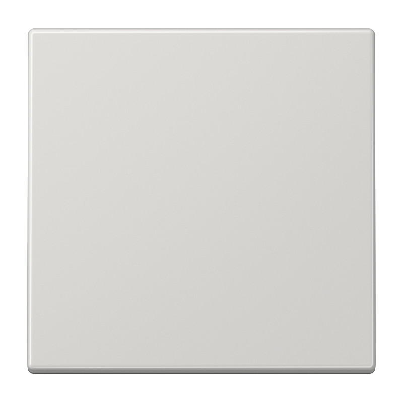 Jung LS range Bluetooth Wandzender LS 2-kan.lichtgrijs