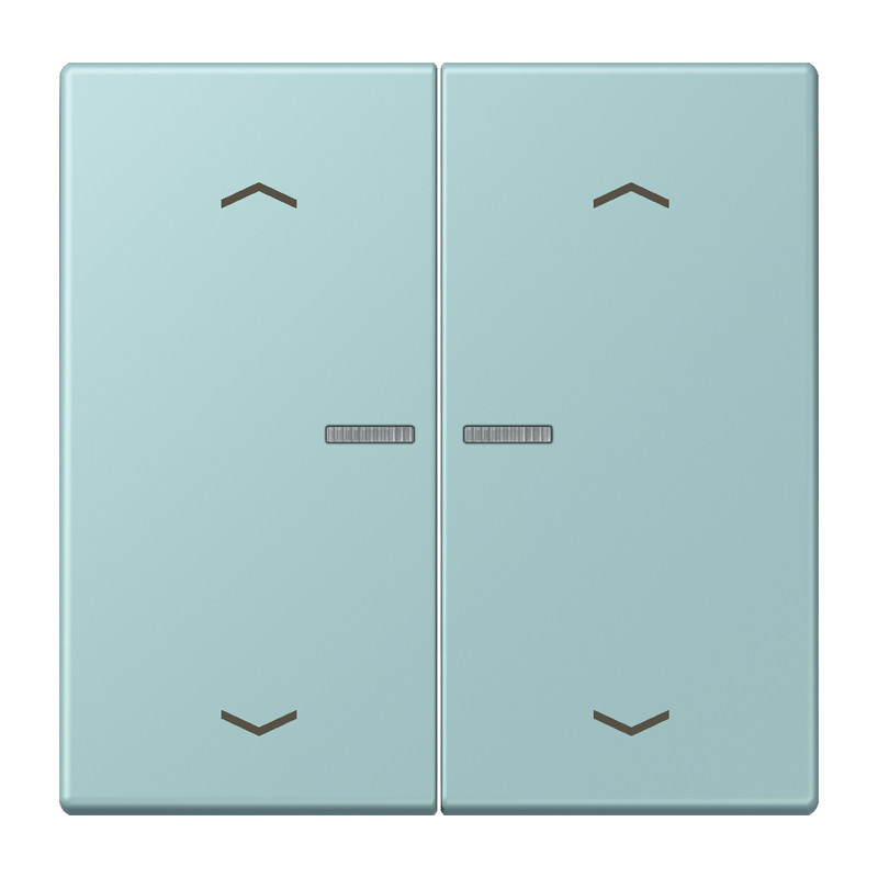 Jung LS range Wip Home/KNX-F10 2V. lens+p. LC32033