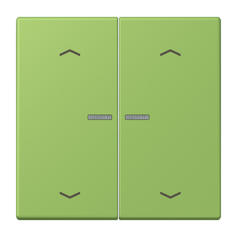 Jung LS range Wip Home/KNX-F10 2V. lens+p. LC32051