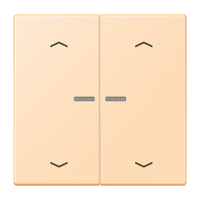 Jung LS range Wip Home/KNX-F10 2V. lens+p. LC32060