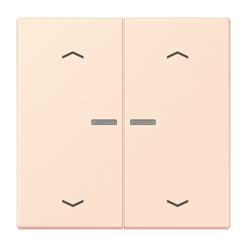 Jung LS range Wip Home/KNX-F10 2V. lens+p. LC32082