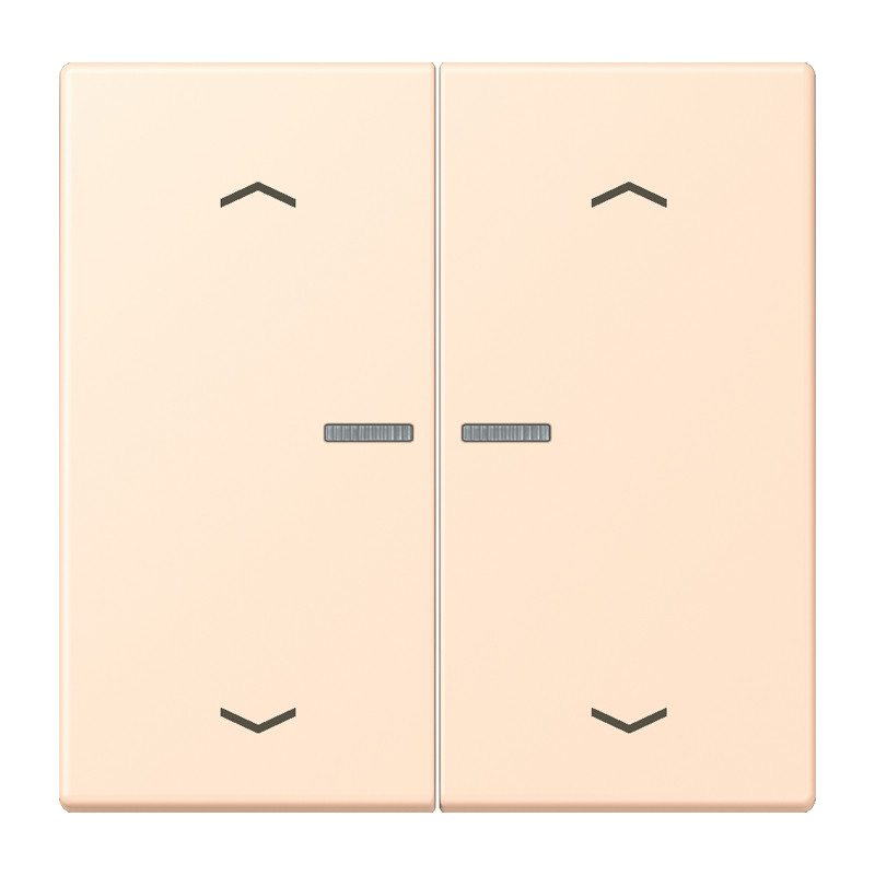 Jung LS range Wip Home/KNX-F10 2V. lens+p. LC32123