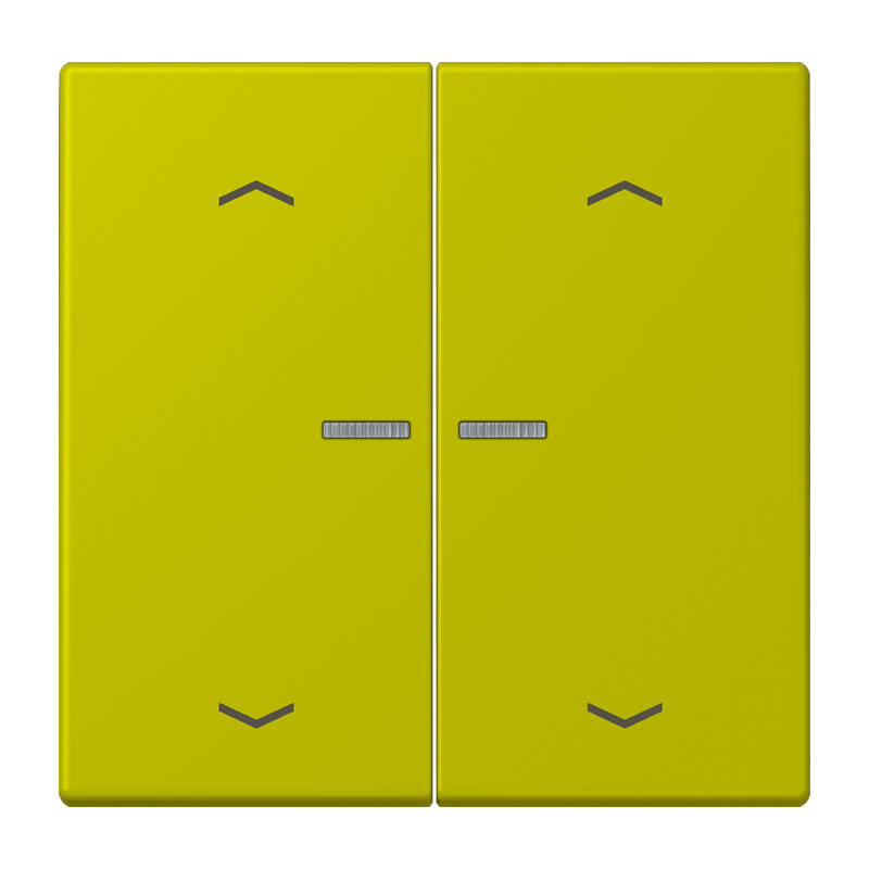 Jung LS range Wip Home/KNX-F10 2V. lens+p. LC4320F