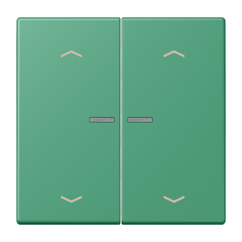 Jung LS range Wip Home/KNX-F10 2V. lens+p. LC4320G