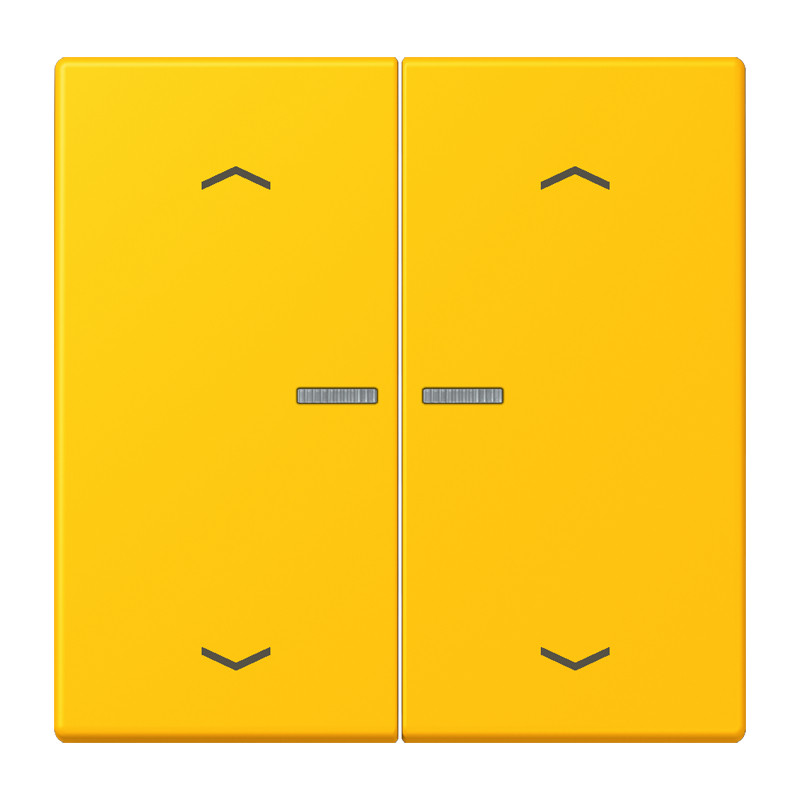 Jung LS range Wip Home/KNX-F10 2V. lens+p. LC4320W