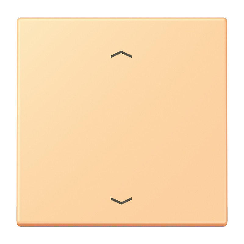 Jung LS range Wip KNX-F10 taster 1V. pijl LC4320P