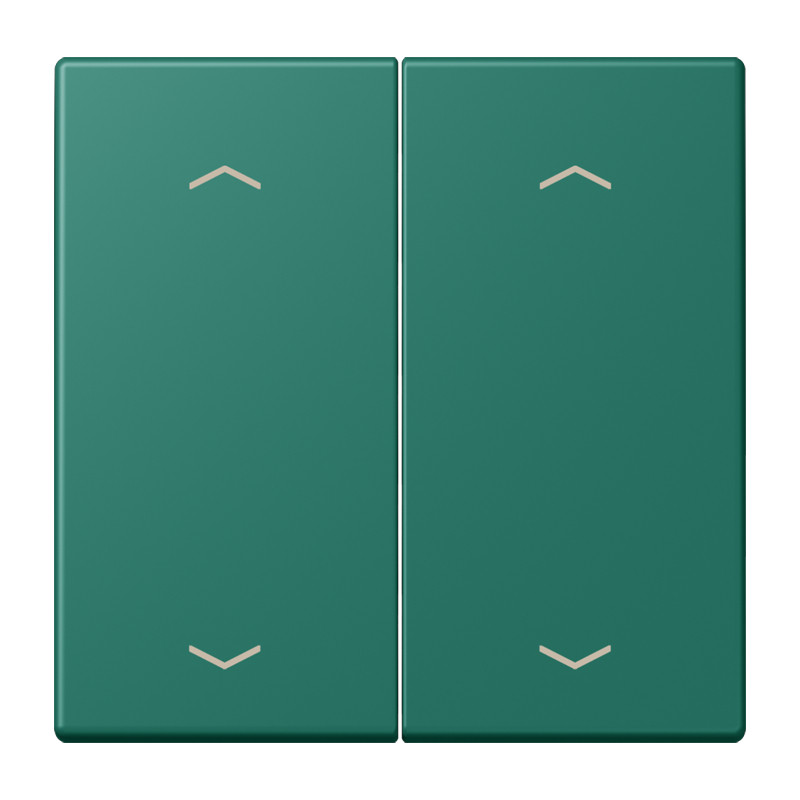 Jung LS range Wip KNX-F10 taster 2V. pijl LC32040