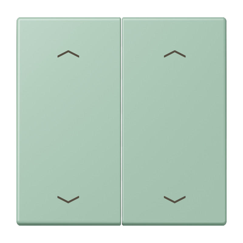 Jung LS range Wip KNX-F10 taster 2V. pijl LC32041