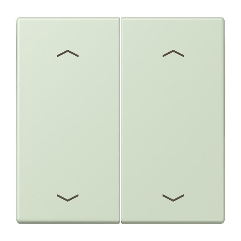 Jung LS range Wip KNX-F10 taster 2V. pijl LC32042